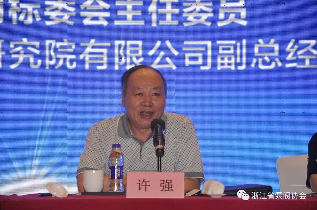 天下閥門規范化手藝委員會主任委員許強頒發發言